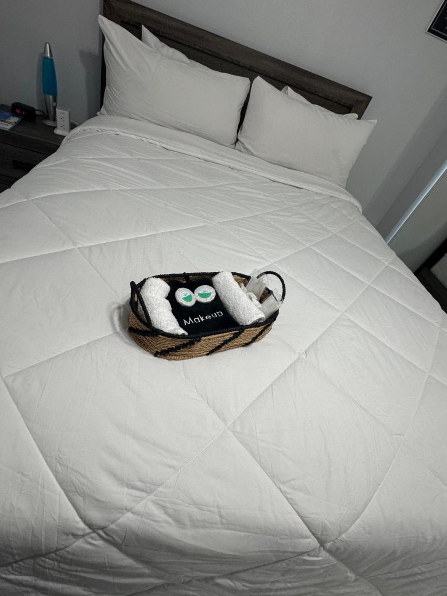 Great Apartment In Valrico 外观 照片